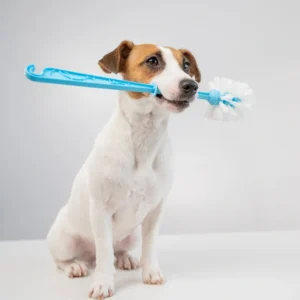 Backyard Doggy Poop Cleanup